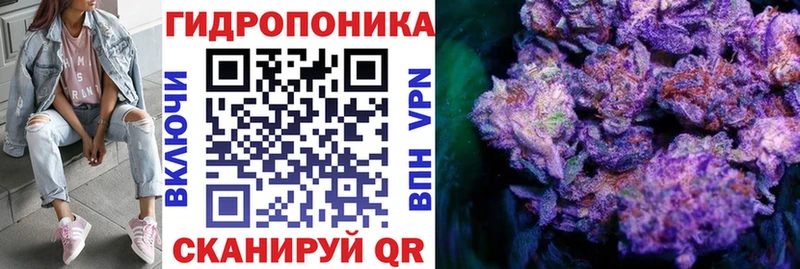 Купить наркотики цена Кувшиново Галлюциногенные грибы  Амфетамин  ГАШ  Конопля  Мефедрон  КОКАИН 