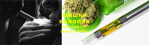 шишки Армянск