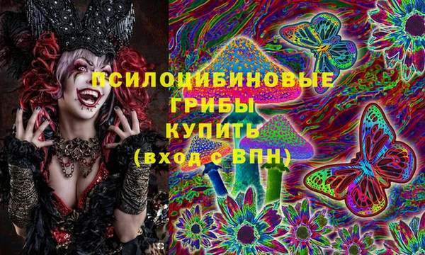 винт Аркадак