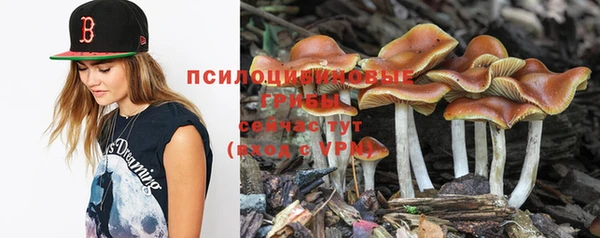 винт Аркадак