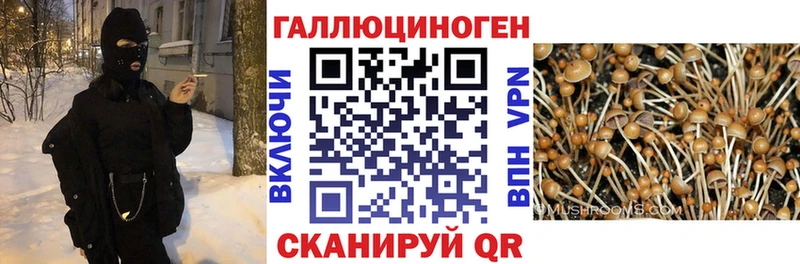 даркнет сайт  площадка состав  Галлюциногенные грибы GOLDEN TEACHER  Кувшиново 